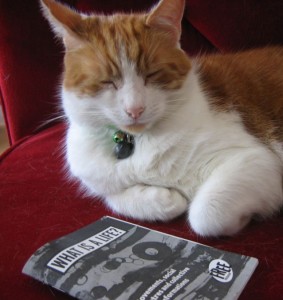 whatisalife What is a life? Feline refusal of work