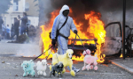 dogwalker